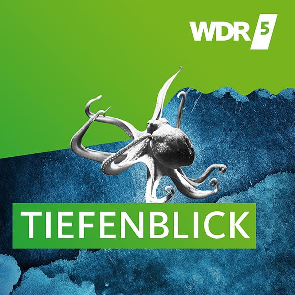 Podcastcover Tiefenblick Cover des Podcasts Tiefenblick